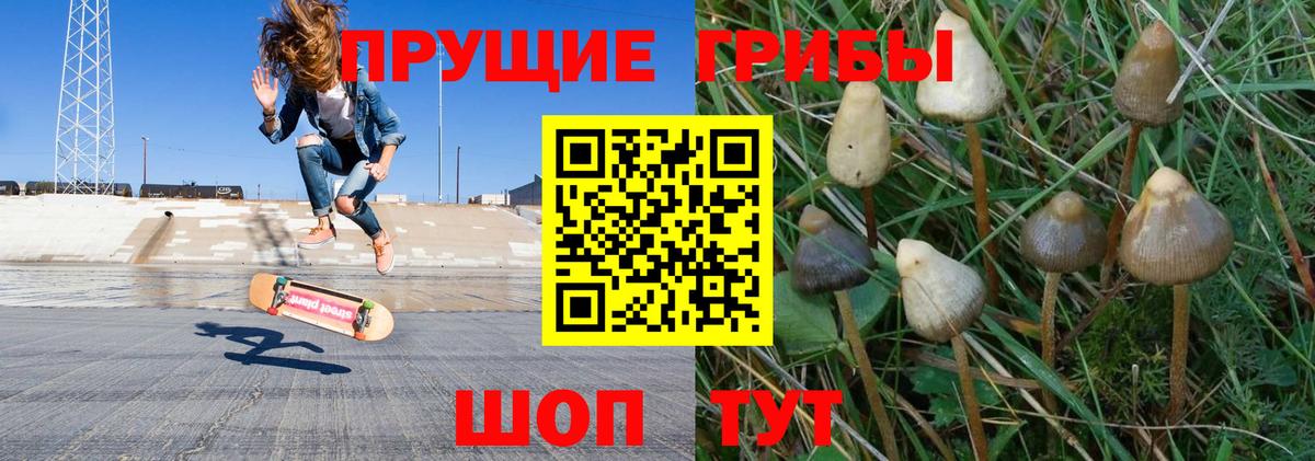 Алексеевка  Псилоцибиновые грибы ЛСД  Псилоцибиновые грибы MAGIC MUSHROOMS  Вход с VPN 