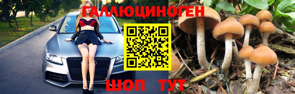 Меф кристаллы  ГАШ  МДМА  Cocaine  Алексеевка  Бошки Шишки  Вход с VPN 